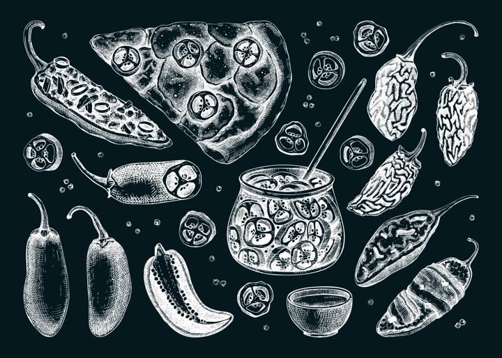 Ripe jalapeno chili pepper sketches set. Hot spices, vegetarian, healthy food hand drawn vector illustration on chalboard. Mexican cuisine menu design elements. Jalapeno slices and seeds for packaging
